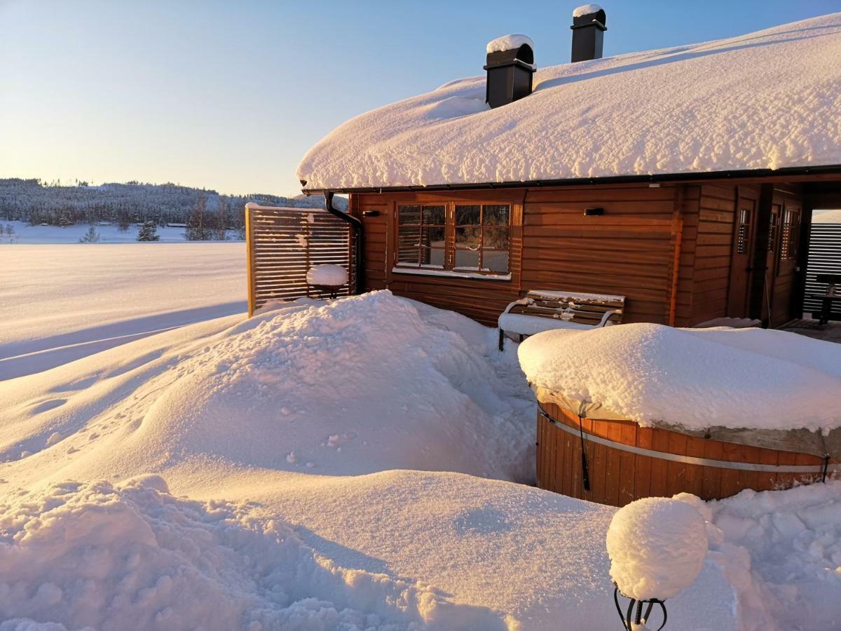 Вилла Skatauddens Lantgard Эльвсбюн Экстерьер фото